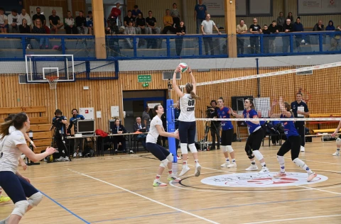 Zdjęcie w galerii