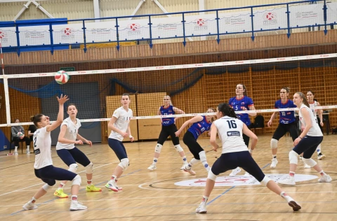 Zdjęcie w galerii
