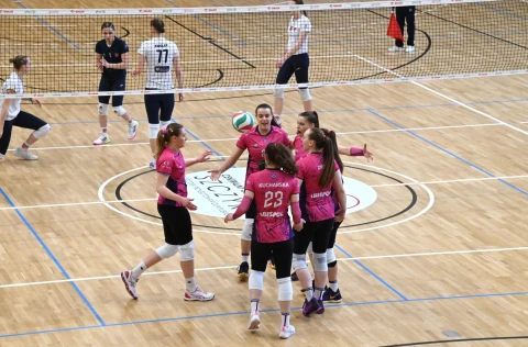 Zdjęcie w galerii