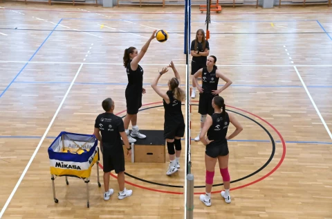 Zdjęcie w galerii