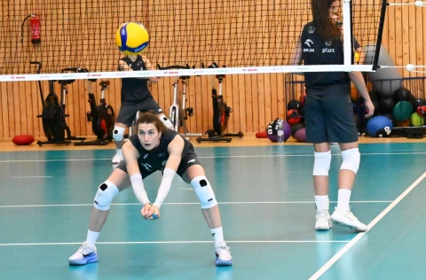 Zdjęcie w galerii